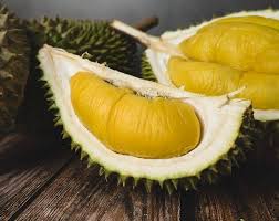 dusun durian